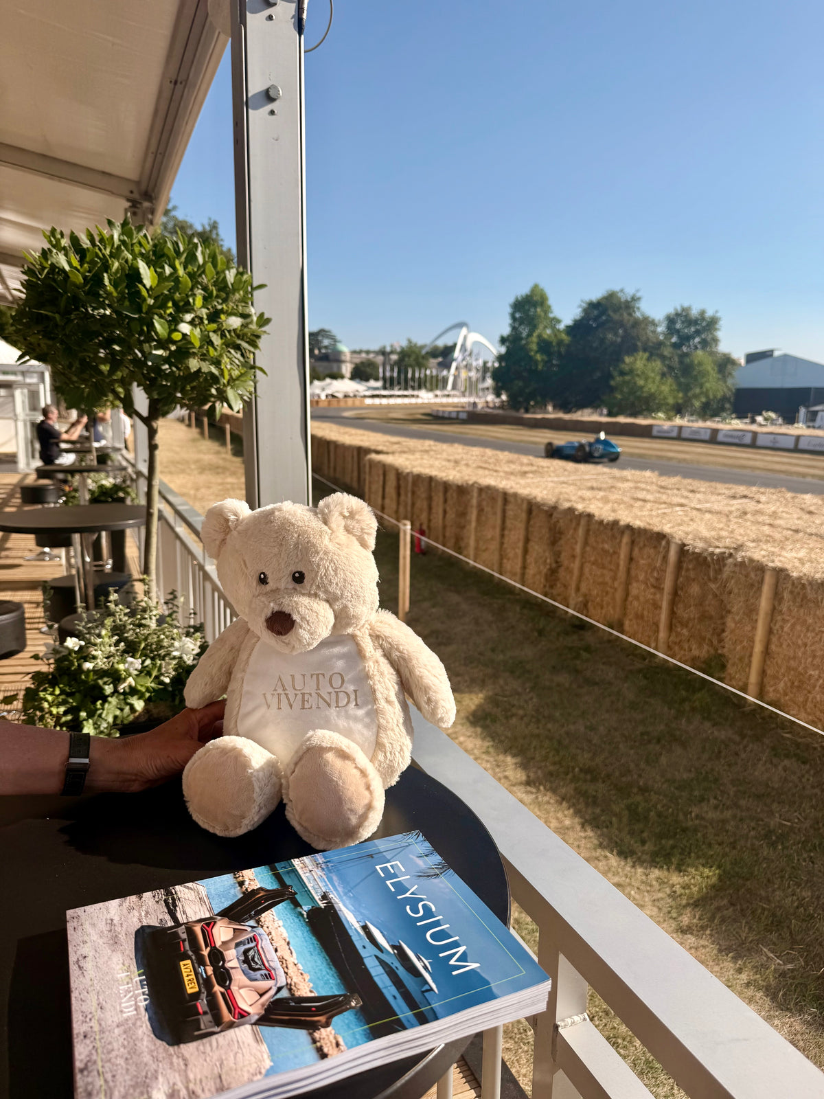 Miles the Auto Vivendi Teddy at the Auto Vivendi Hospitality Suite at Goodwood Festival of Speed.
